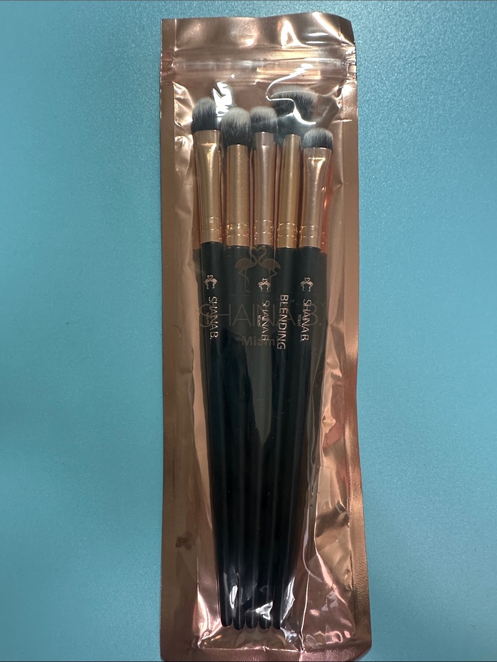 Shaina B. Miami "Eyes On Miami" 5-Piece Brush Set